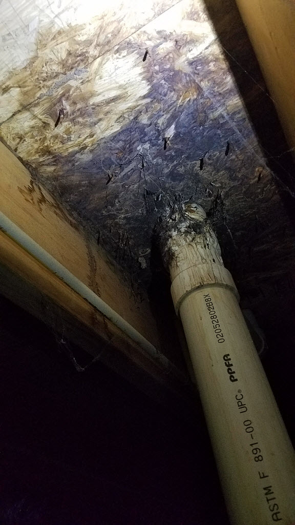 Randall\'s Plumbing of Lebanon, MO