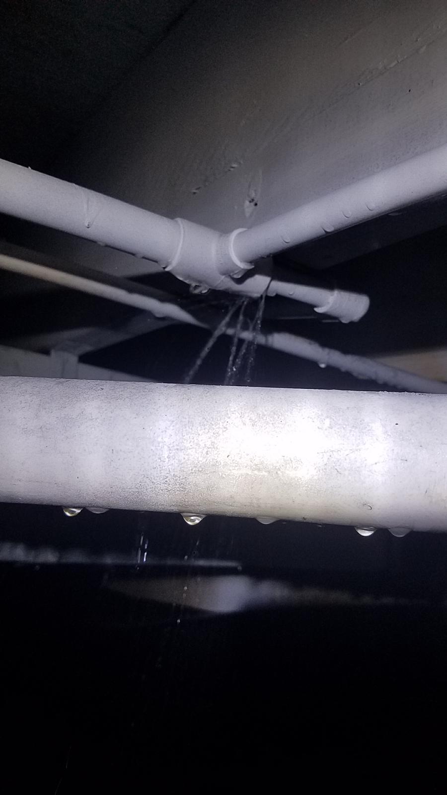 Typical water leak under a house. Look closely and you can you can see water spraying.