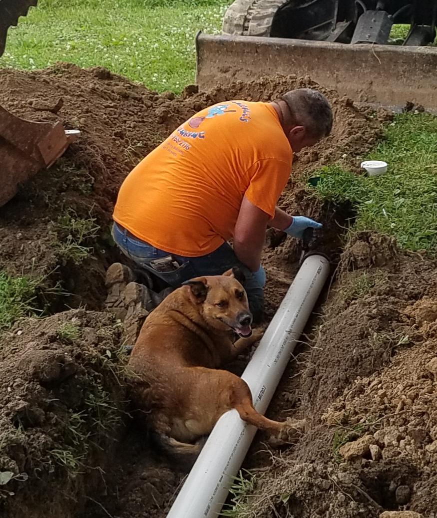 Plumbing... it\'s a dogs life, lol! In the heat of summer, one of the coolest places to be is in a newly dug hole.