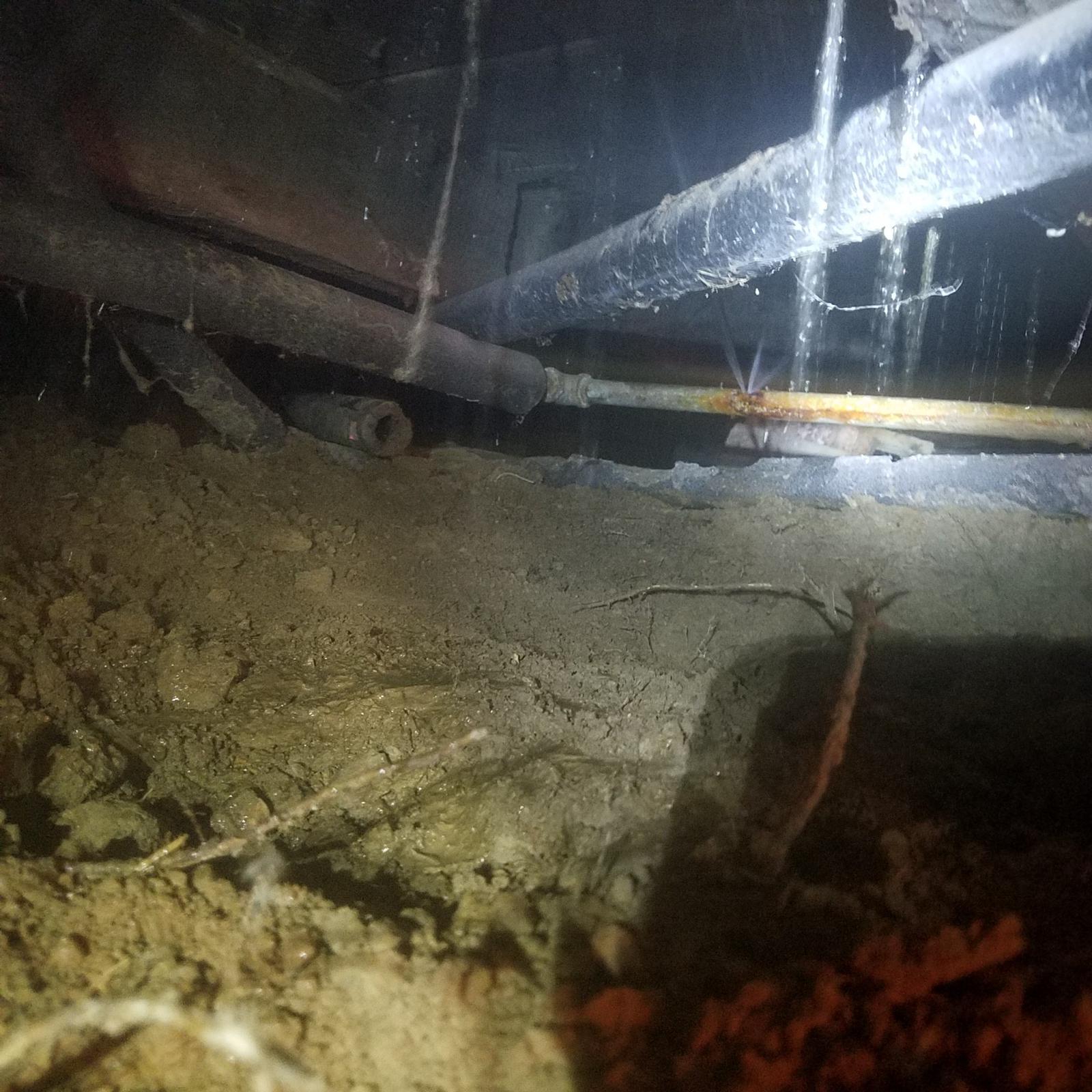This is another typical water leak under a house (you can see water spraying.) Unfortunately all the water lines were rotten and we had to re-pipe all the water supplies with PEX, of course!