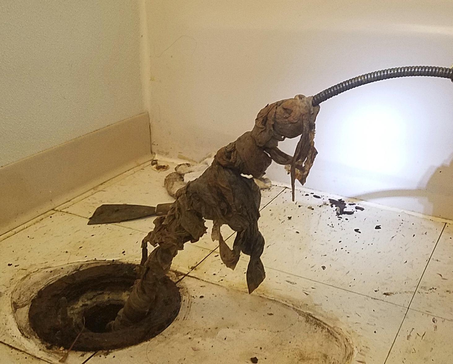 Yes, flushable wipes do flush but they don\'t move down the sewer line!