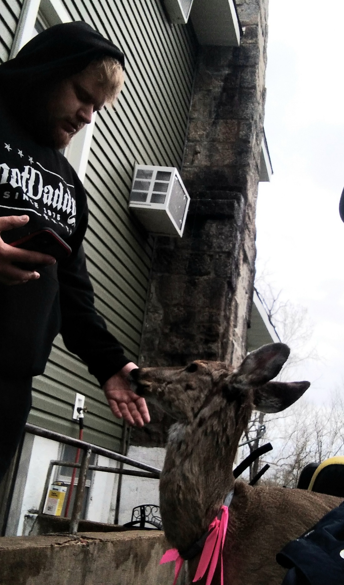 We love our customers deer-ly!