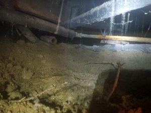 This is another typical water leak under a house (you can see water spraying.) Unfortunately all the water lines were rotten and we had to re-pipe all the water supplies with PEX, of course!