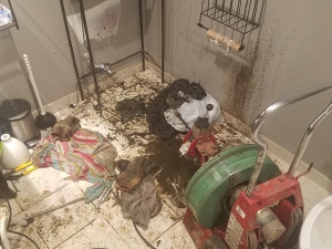 This was the worst sewer auger job I ever did. It was in NEWLY REMODELED basement bathroom. New paint, new tile, new everything. Unfortunately it wasn't new after I left. But there was no avoiding it because I had to run that auger down the sewer 7 TIMES!!! As you can see in the photo, I brought up enough 