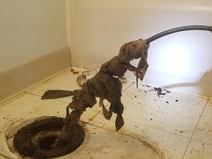 Yes, flushable wipes do flush but they don't move down the sewer line!