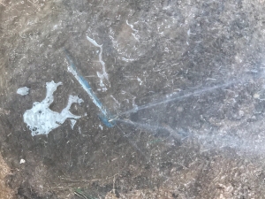 Before - Repairing Main Water Line in Springfield, MO